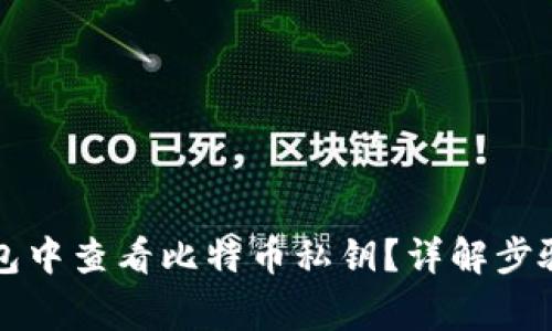 如何在TP钱包中查看比特币私钥？详解步骤与注意事项
