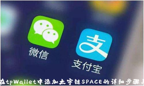 
如何在tpWallet中添加太宇链SPACE的详细步骤与指南