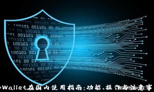 
tpWallet在国内使用指南：功能、操作与注意事项