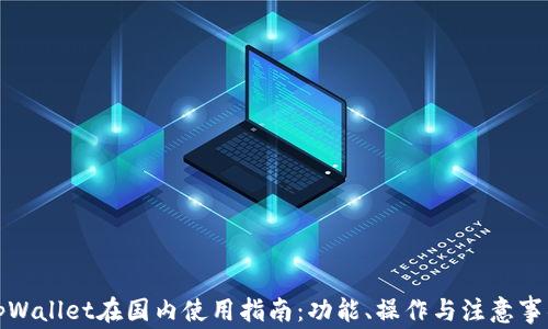 
tpWallet在国内使用指南：功能、操作与注意事项