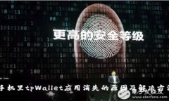 手机里tpWallet应用消失的原