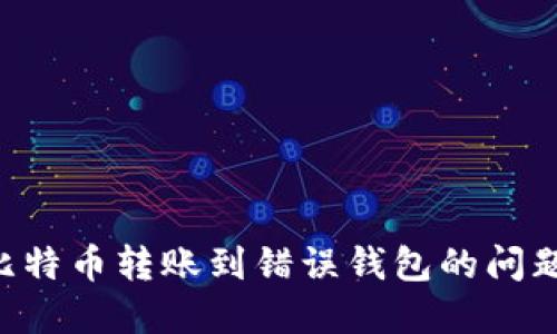如何解决比特币转账到错误钱包的问题：完整指南