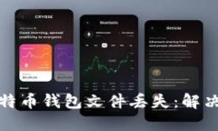如何应对比特币钱包文件