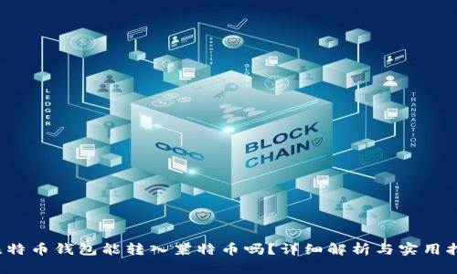  比特币钱包能转入莱特币吗？详细解析与实用指南