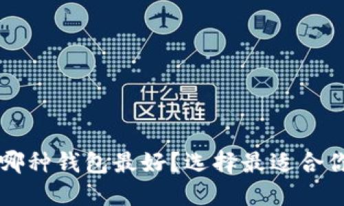 区块链币提哪种钱包最好？选择最适合你的钱包指南