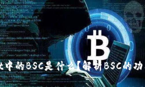tpWallet中的BSC是什么？解析BSC的功能与优势