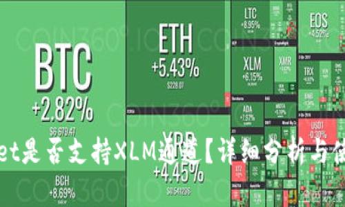 tpWallet是否支持XLM通道？详细分析与使用指南