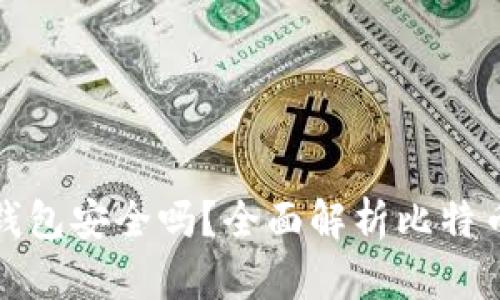 比特币官网的钱包安全吗？全面解析比特币钱包的安全性