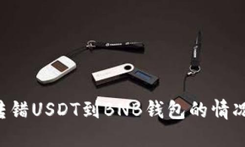 如何处理转错USDT到BNB钱包的情况：完整指南