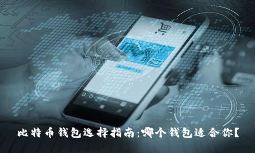 比特币钱包选择指南：哪个钱包适合你？