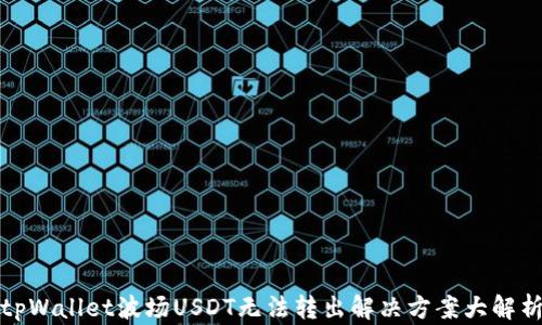 
tpWallet波场USDT无法转出解决方案大解析