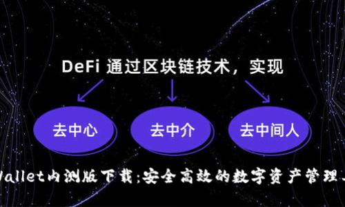 tpWallet内测版下载：安全高效的数字资产管理工具
