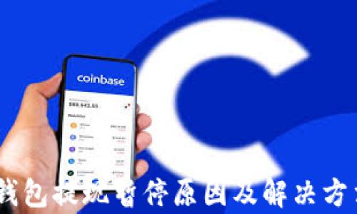 
USDT钱包提现暂停原因及解决方法分析