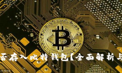 狗狗币能否存入比特钱包？全面解析与实用指南