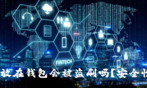 :
我的USDT放在钱包会被盗刷吗？安全性全面解析