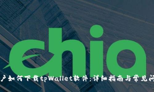 苹果用户如何下载tpWallet软件：详细指南与常见问题解答