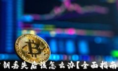 tpWallet密钥丢失后该怎么办
