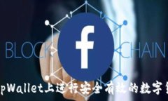   如何在tpWallet上进行安全