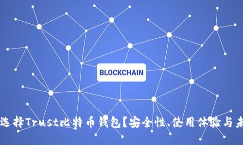 为什么选择Trust比特币钱包？安全性、使用体验与未来展望