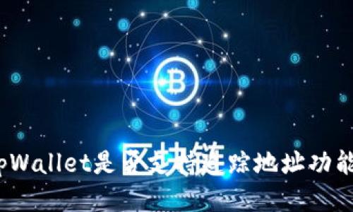 tpWallet是否支持追踪地址功能？