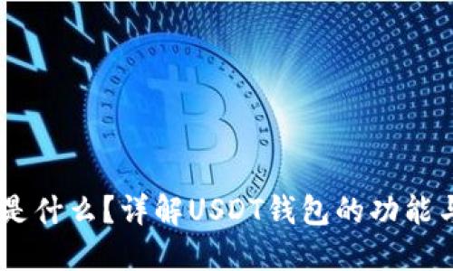 USDT钱包是什么？详解USDT钱包的功能与图案设计