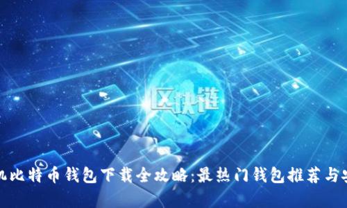 安卓手机比特币钱包下载全攻略：最热门钱包推荐与安装指南