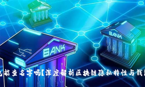 区块链钱包能查名字吗？深度解析区块链隐私特性与钱包查询机制