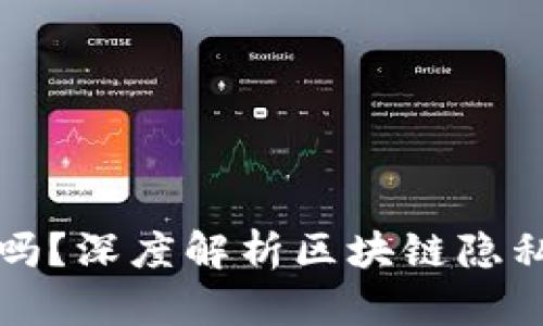 区块链钱包能查名字吗？深度解析区块链隐私特性与钱包查询机制