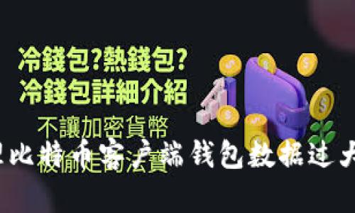 如何处理比特币客户端钱包数据过大的问题？