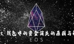 tpWallet 钱包中的资金消失