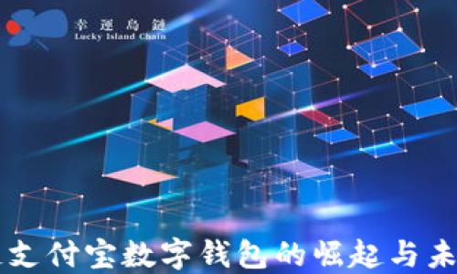 
区块链支付宝数字钱包的崛起与未来展望