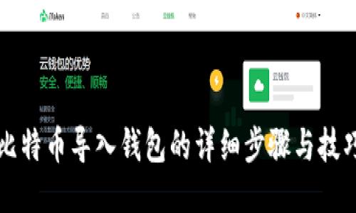 比特币导入钱包的详细步骤与技巧