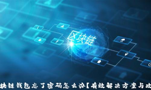 
区块链钱包忘了密码怎么办？有效解决方案与攻略