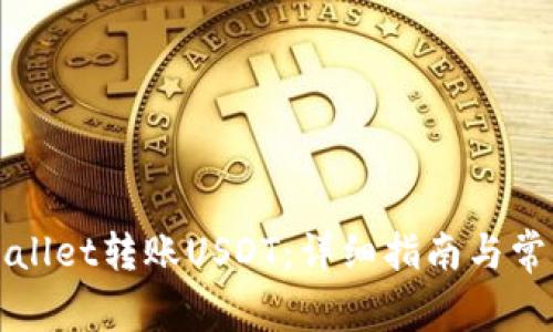 如何向tpWallet转账USDT：详细指南与常见问题分析
