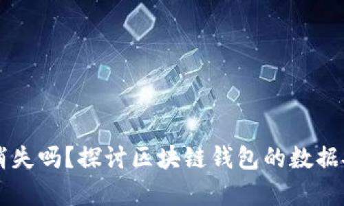 区块链钱包会消失吗？探讨区块链钱包的数据安全与存储技术