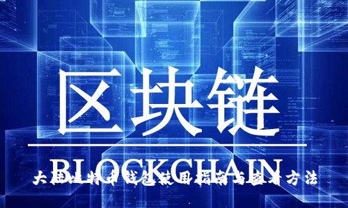 大陆比特币钱包使用指南与查看方法