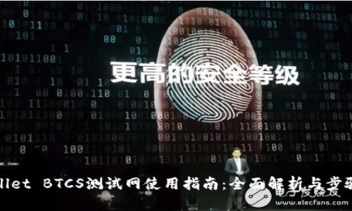 tpWallet BTCS测试网使用指南：全面解析与步骤详解