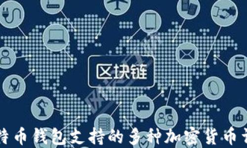 
比特币钱包支持的多种加密货币详解