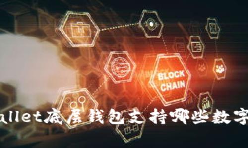  tpWallet底层钱包支持哪些数字货币？