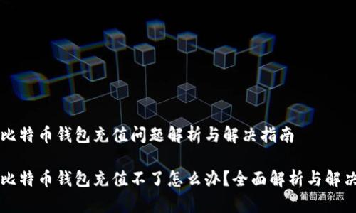 比特币钱包充值问题解析与解决指南

比特币钱包充值不了怎么办？全面解析与解决