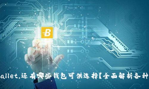 除了tpWallet，还有哪些钱包可供选择？全面解析各种数字钱包