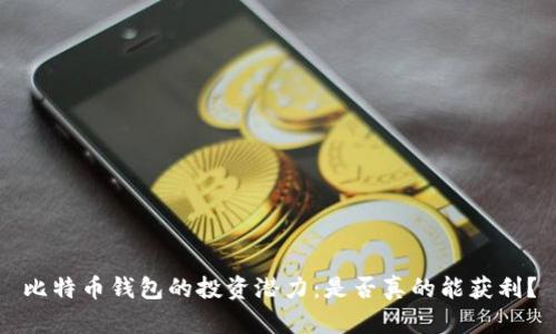 比特币钱包的投资潜力：是否真的能获利？
