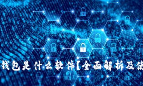 虚拟币钱包是什么软件？全面解析及使用指南