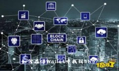 如何在tpWallet中找到BNB?