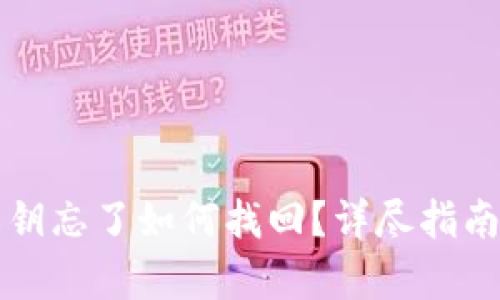 tpWallet私钥忘了如何找回？详尽指南与解决方案
