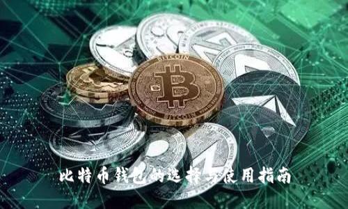 比特币钱包的选择与使用指南