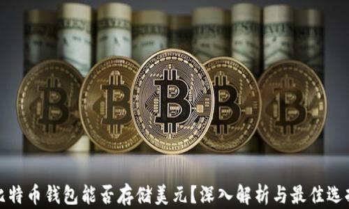 
比特币钱包能否存储美元？深入解析与最佳选择