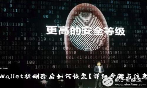 : tpWallet被删除后如何恢复？详细步骤与注意事项