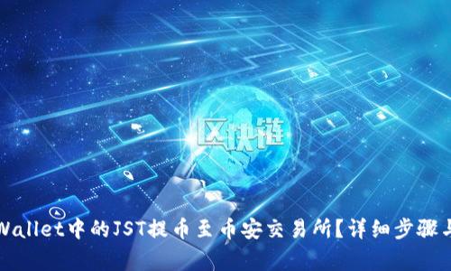 如何将tpWallet中的JST提币至币安交易所？详细步骤与注意事项