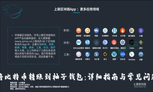 如何将比特币转账到柚子钱包：详细指南与常见问题解析